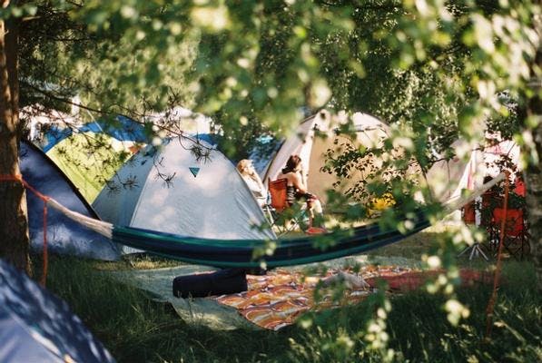 Blick auf die Zelte durch Bäume