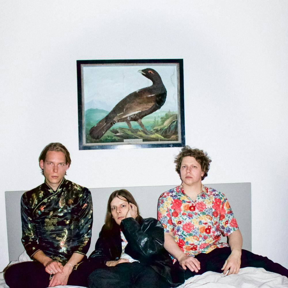 Drei Musiker der Band Nerven sitzen auf Bett und sind frontal zu sehen, über ihnen hängt Bild mit Vogel 