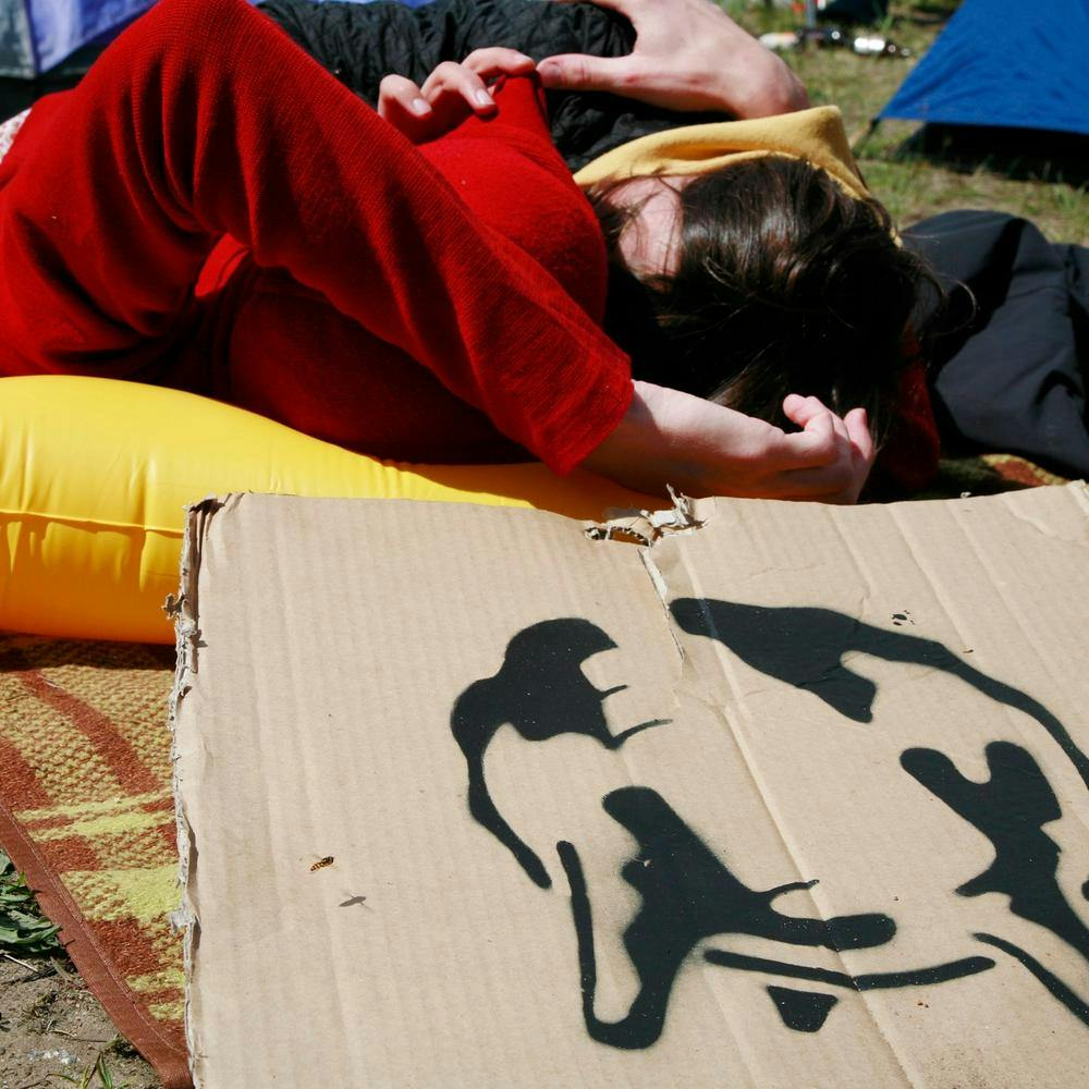 Zwei Menschen liegen auf einer Decke auf der Wiese, vor ihnen ein Euter auf Pappe abgebildet
