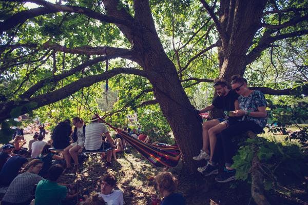 Menschen sitzen auf Bäumen und Hängematten hängen zwischen Ästen